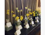 Our beautiful Daffodil display